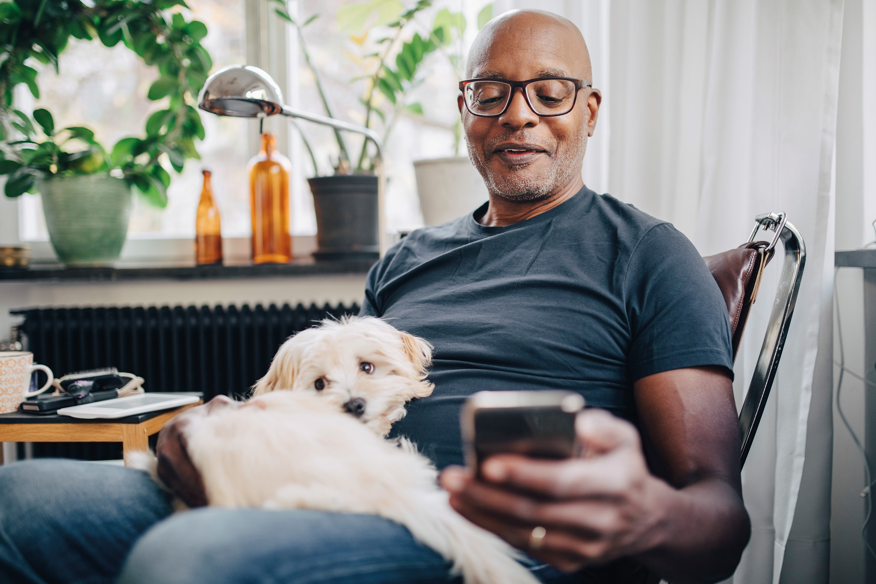 Man looking at his phone sitting in a chair with his dog