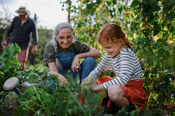 Grandmother and granddaughter gardening
